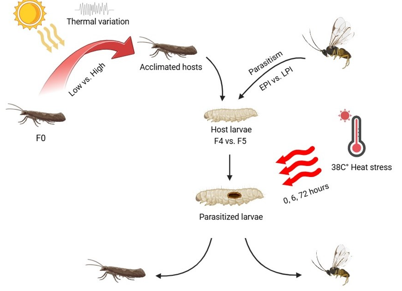 Research image